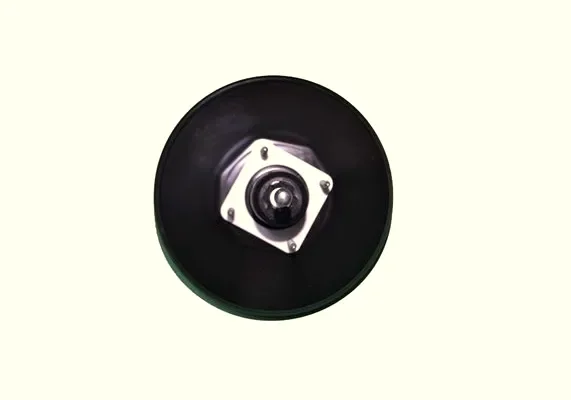 BOSCH Westinhous 0204125916