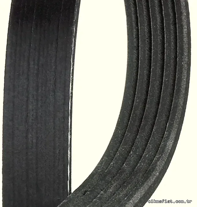 GATES 5PK1215 V Kayışı - GATES - 5PK1215