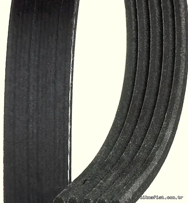 GATES 5PK1255 V Kayışı - GATES - 5PK1255