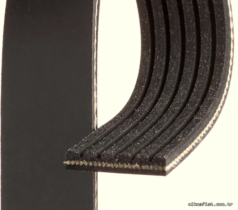 GATES 6PK1725 V Kayışı - GATES - 6PK1725