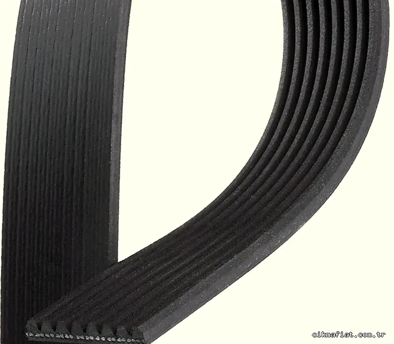 GATES 8PK1365HD V Kayışı - GATES - 8PK1365HD