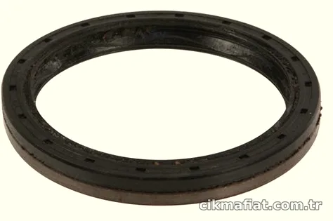 Vites Mil Keçesi - 60x74,3x8 - LRS - Motor - Transporter - 2010 - 2011 - İTHAL - 02M301189B-55