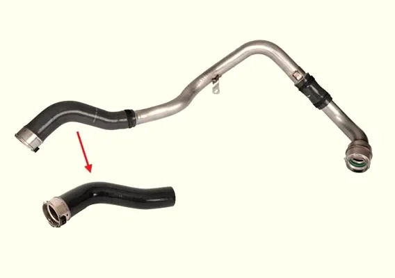 RAM Turbo Hortumu MGA964858