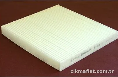 SARDES Polen Filtresi WP063